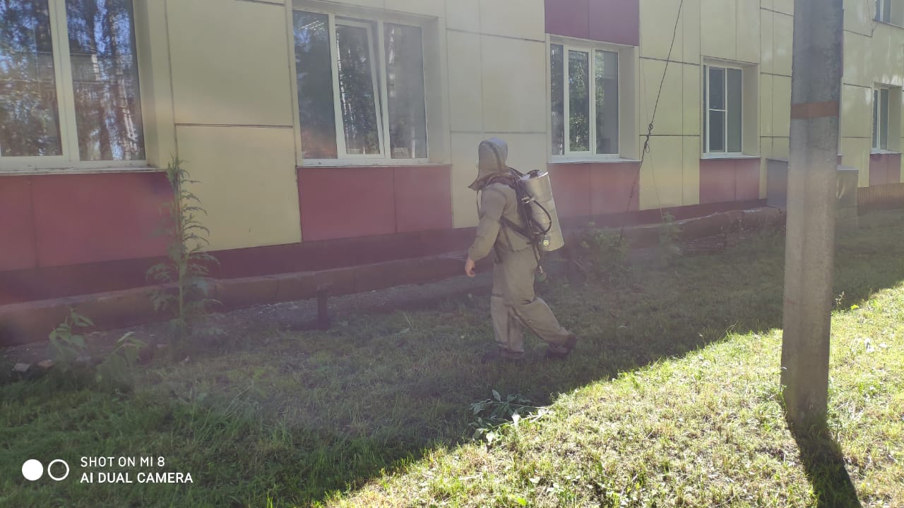 дезинфекция